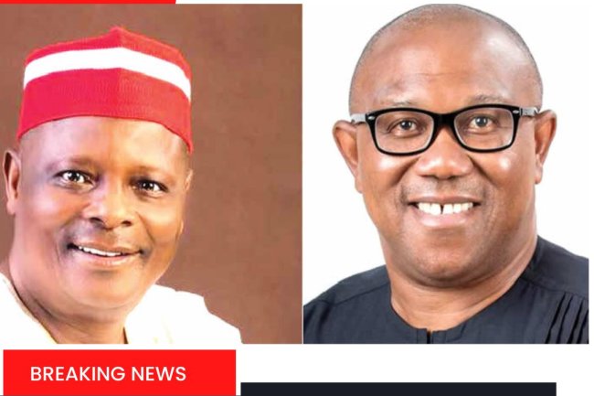 LABOUR PARTY WELCOMES KWANKWANSO'S OFFER TO RUN WITH PETER OBI. 