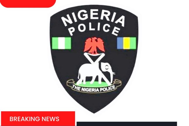 HEADLINE: PRESIDENT TINUBU DIRECTS POLICE TO PROVIDE SECURITY TO ALL LOCAL GOVERNMENT COUNCILS.