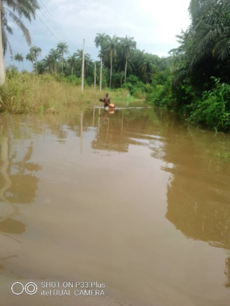 FLOODING IN RIVERS STATE SPARK FEARS OF CHOLERA OUTBREAK AND FOOD SCARCITY.