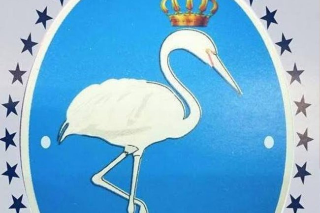 Stakeholders in Bonny Kingdom says the planned protest will address issues germane to wellbeing of Bonny people. 