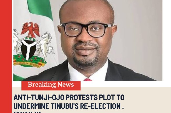 Anti-Tunji-Ojo Protests Plot To Undermine Tinubu’s Re-Election - Nwauju 