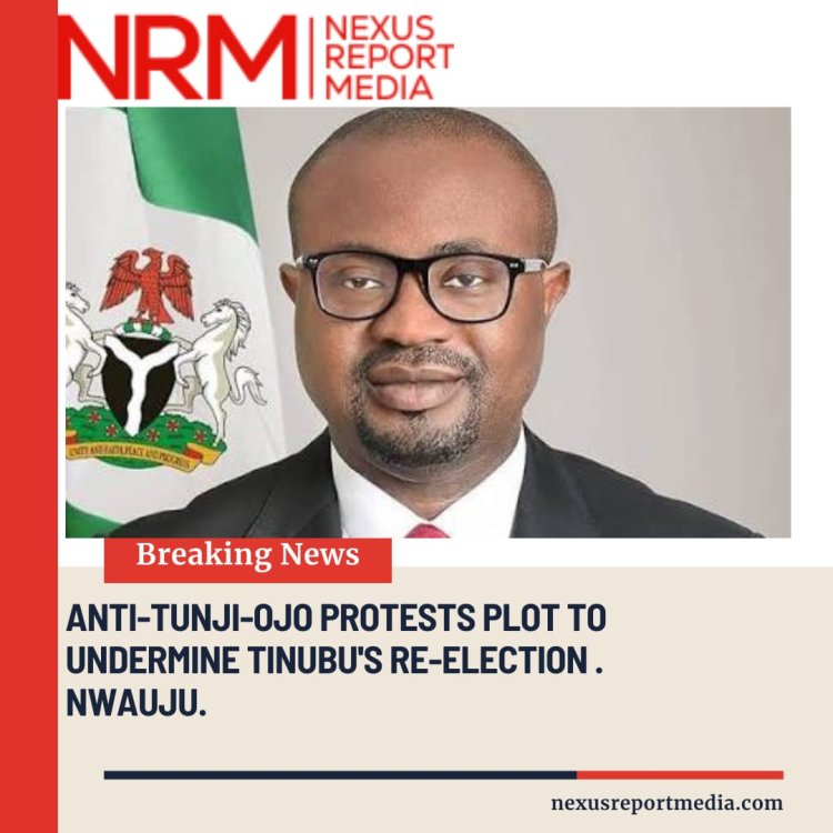 Anti-Tunji-Ojo Protests Plot To Undermine Tinubu’s Re-Election - Nwauju 